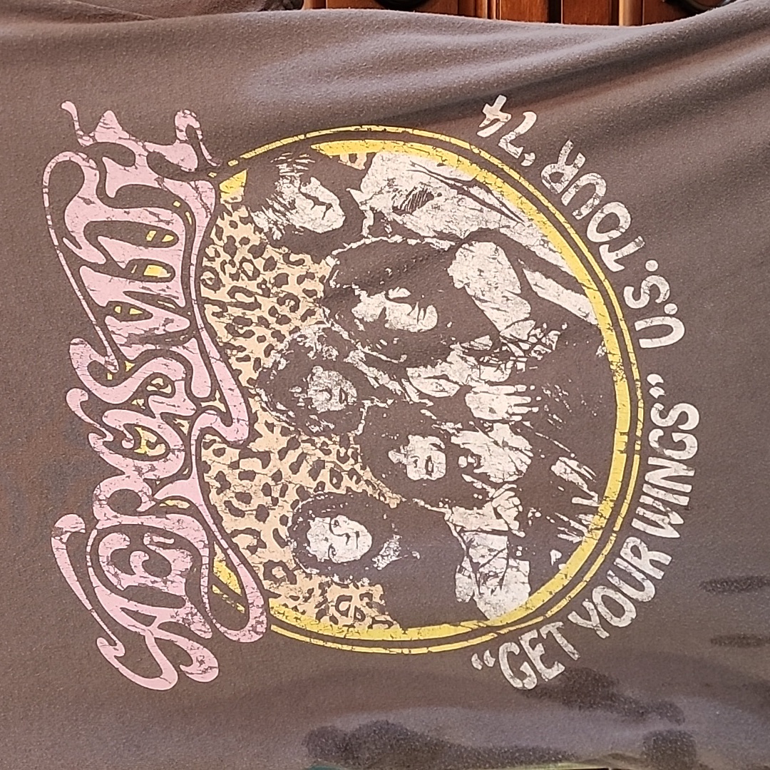 Aerosmith T Shirt